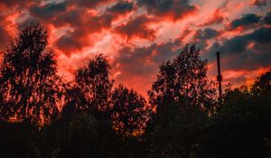 Preview wallpaper trees, sunset, sky, clouds, autumn, evening