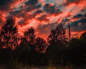 Preview wallpaper trees, sunset, sky, clouds, autumn, evening