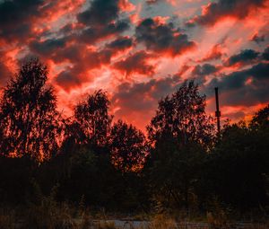 Preview wallpaper trees, sunset, sky, clouds, autumn, evening