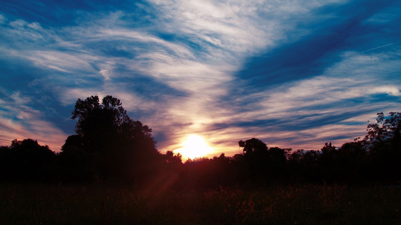 Wallpaper trees, sunset, sky, clouds, sunlight