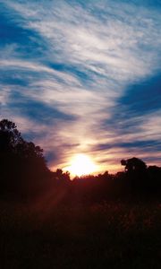 Preview wallpaper trees, sunset, sky, clouds, sunlight