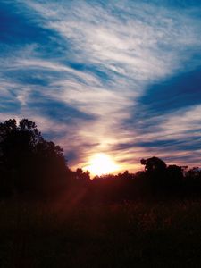Preview wallpaper trees, sunset, sky, clouds, sunlight