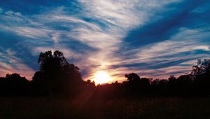 Preview wallpaper trees, sunset, sky, clouds, sunlight