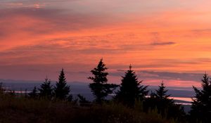 Preview wallpaper trees, sunset, sky, clouds, outlines