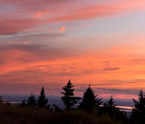 Preview wallpaper trees, sunset, sky, clouds, outlines