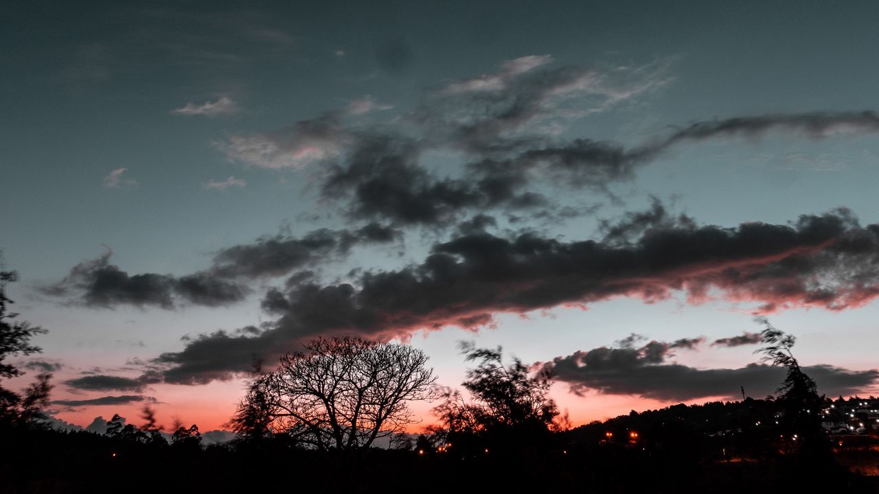 Wallpaper trees, sunset, sky, night, clouds, moon