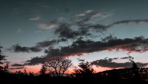 Preview wallpaper trees, sunset, sky, night, clouds, moon