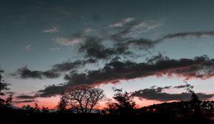 Preview wallpaper trees, sunset, sky, night, clouds, moon