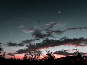 Preview wallpaper trees, sunset, sky, night, clouds, moon