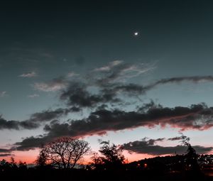 Preview wallpaper trees, sunset, sky, night, clouds, moon