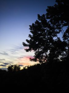 Preview wallpaper trees, sunset, sky, silhouette, clouds