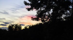Preview wallpaper trees, sunset, sky, silhouette, clouds