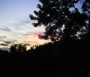 Preview wallpaper trees, sunset, sky, silhouette, clouds