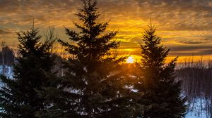 Preview wallpaper trees, sunset, snow, winter, landscape