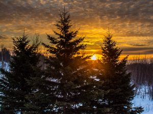 Preview wallpaper trees, sunset, snow, winter, landscape
