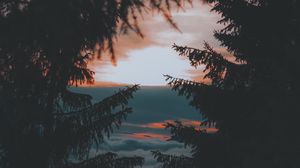 Preview wallpaper trees, sunset, twilight, dark, landscape