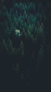 Preview wallpaper trees, top view, forest, dark