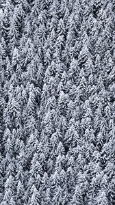 Preview wallpaper trees, top view, snow, snowy