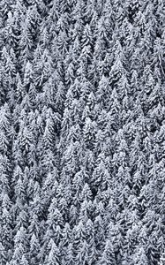 Preview wallpaper trees, top view, snow, snowy