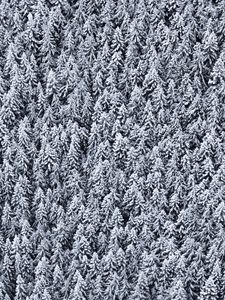 Preview wallpaper trees, top view, snow, snowy