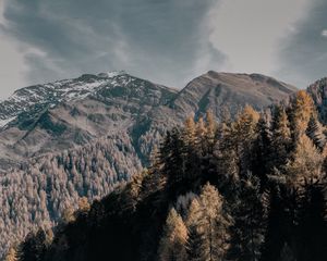 Preview wallpaper trees, tops, mountains, sky, clouds