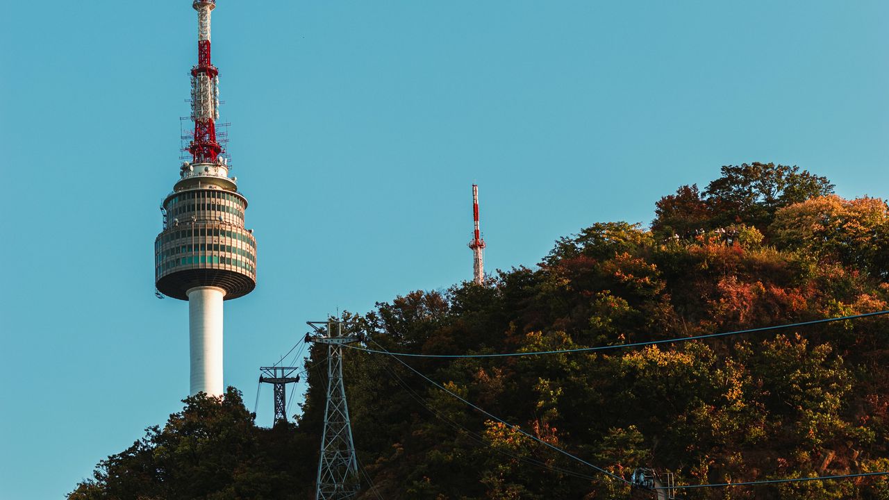 Wallpaper trees, tower, funicular