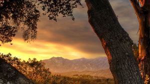 Preview wallpaper trees, trunks, decline, evening, sky, mountains