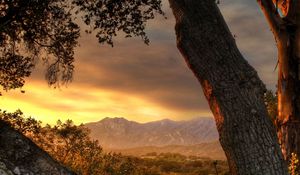 Preview wallpaper trees, trunks, decline, evening, sky, mountains