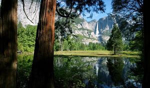 Preview wallpaper trees, trunks, falls, lake, mountains