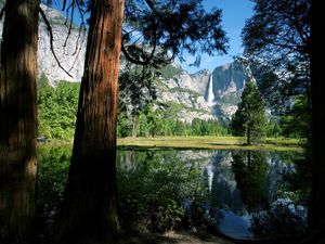 Preview wallpaper trees, trunks, falls, lake, mountains