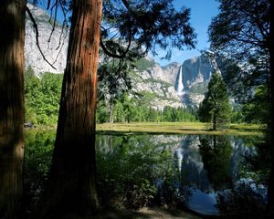 Preview wallpaper trees, trunks, falls, lake, mountains