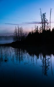 Preview wallpaper trees, trunks, lake, reflection, fog, nature, dark