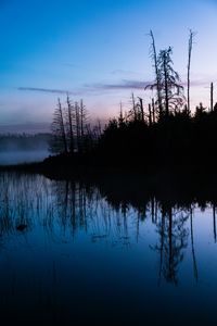 Preview wallpaper trees, trunks, lake, reflection, fog, nature, dark