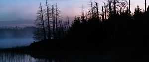 Preview wallpaper trees, trunks, lake, reflection, fog, nature, dark