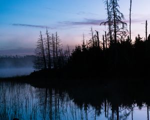 Preview wallpaper trees, trunks, lake, reflection, fog, nature, dark