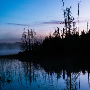 Preview wallpaper trees, trunks, lake, reflection, fog, nature, dark