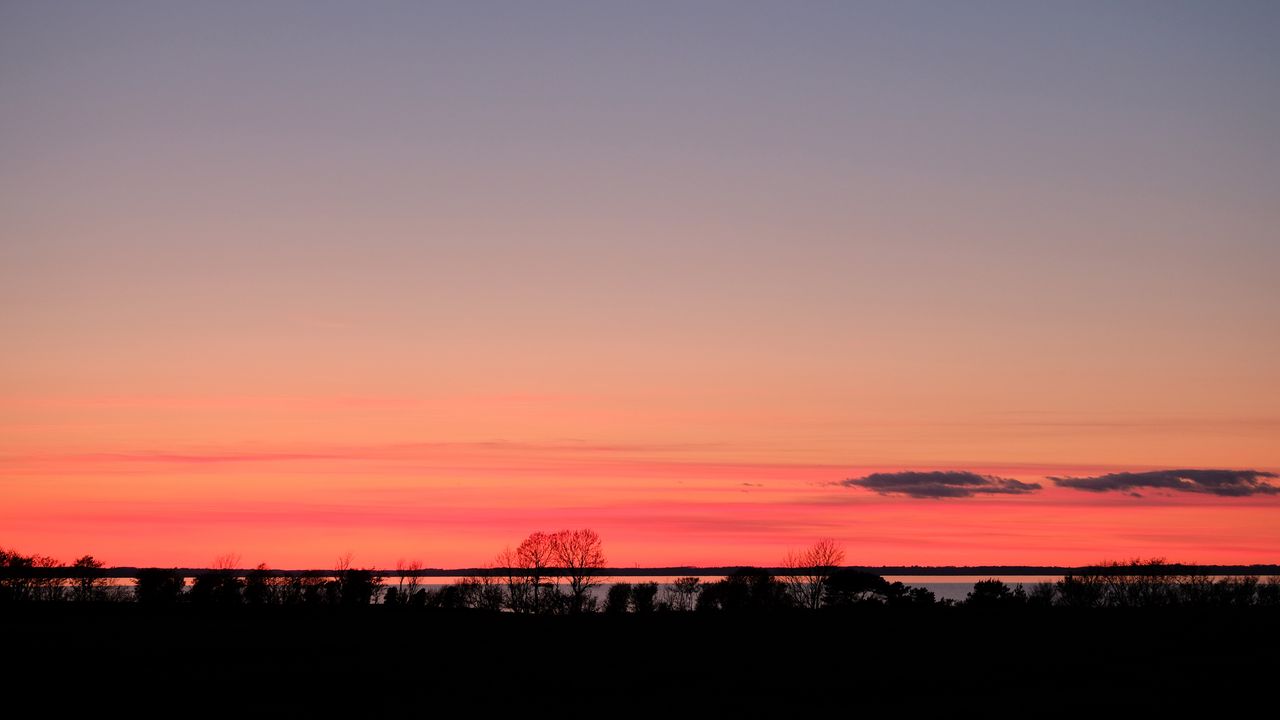 Wallpaper trees, twilight, horizon, dark, evening