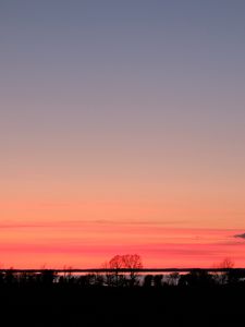 Preview wallpaper trees, twilight, horizon, dark, evening