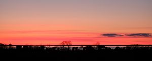 Preview wallpaper trees, twilight, horizon, dark, evening