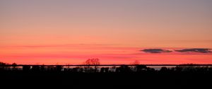 Preview wallpaper trees, twilight, horizon, dark, evening