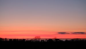 Preview wallpaper trees, twilight, horizon, dark, evening