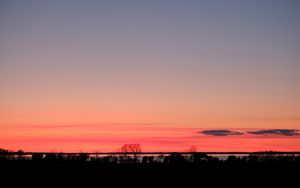 Preview wallpaper trees, twilight, horizon, dark, evening