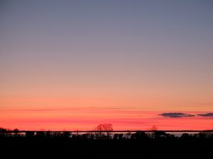 Preview wallpaper trees, twilight, horizon, dark, evening