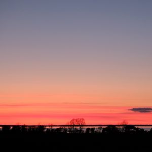Preview wallpaper trees, twilight, horizon, dark, evening