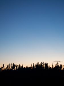 Preview wallpaper trees, twilight, outlines, dark, horizon