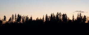 Preview wallpaper trees, twilight, outlines, dark, horizon