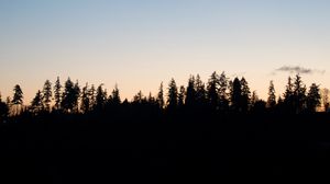 Preview wallpaper trees, twilight, outlines, dark, horizon