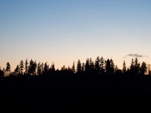 Preview wallpaper trees, twilight, outlines, dark, horizon