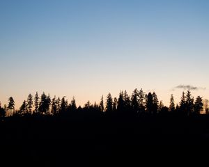 Preview wallpaper trees, twilight, outlines, dark, horizon