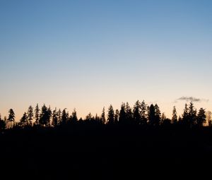 Preview wallpaper trees, twilight, outlines, dark, horizon